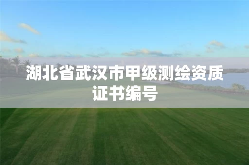 湖北省武汉市甲级测绘资质证书编号