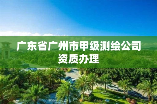 广东省广州市甲级测绘公司资质办理 广东省广州市甲级测绘公司资质办理