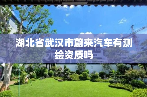 湖北省武汉市蔚来汽车有测绘资质吗