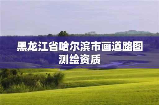 黑龙江省哈尔滨市画道路图测绘资质 黑龙江省哈尔滨市画道路图测绘资质