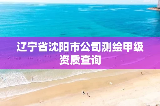 辽宁省沈阳市公司测绘甲级资质查询