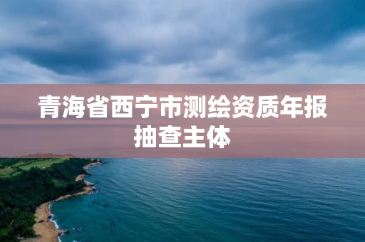青海省西宁市测绘资质年报抽查主体 青海省西宁市测绘资质年报抽查主体