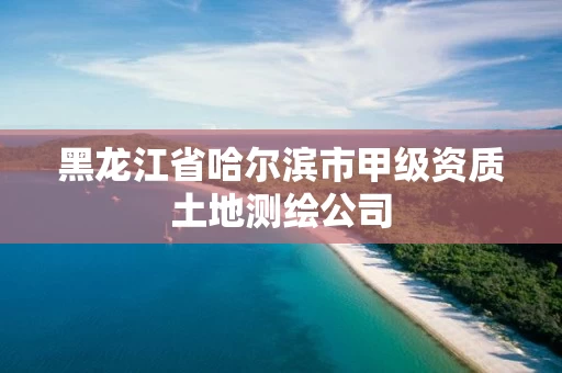 黑龙江省哈尔滨市甲级资质土地测绘公司