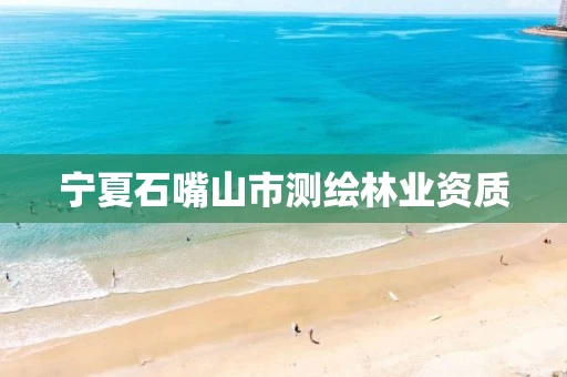 宁夏石嘴山市测绘