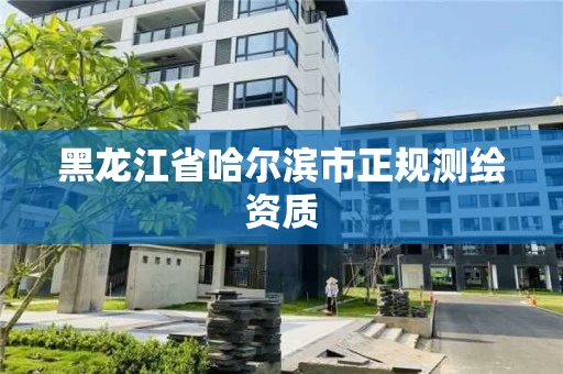黑龙江省哈尔滨市正规测绘资质