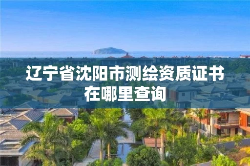 辽宁省沈阳市测绘资质证书在哪里查询 辽宁省沈阳市测绘资质证书在哪里查询