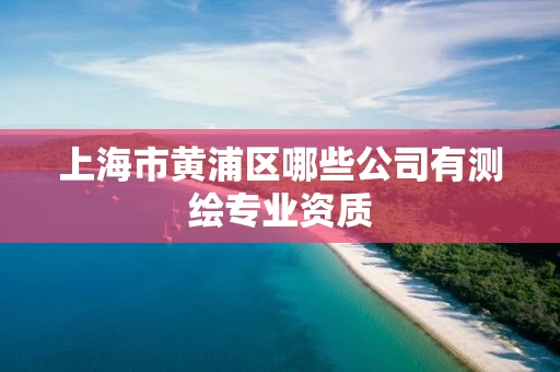 上海市黄浦区哪些公司有测绘专业资质