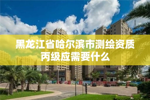 黑龙江省哈尔滨市测绘资质丙级应需要什么