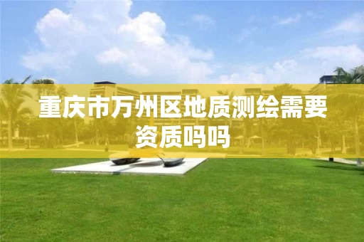 重庆市万州区地质测绘需要资质吗吗 重庆市万州区地质测绘需要资质吗吗