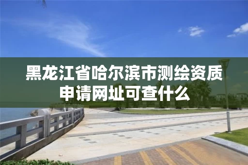 黑龙江省哈尔滨市测绘资质申请网址可查什么
