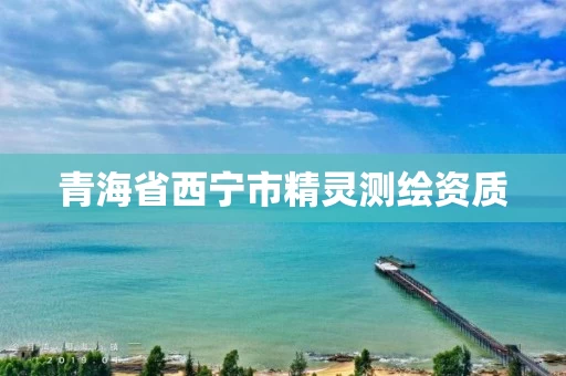 青海省西宁市精灵测绘资质
