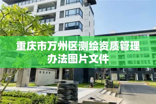 重庆市万州区测绘资质管理办法图片文件