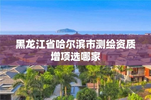 黑龙江省哈尔滨市测绘资质增项选哪家
