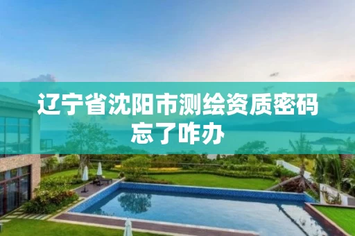 辽宁省沈阳市测绘资质密码忘了咋办