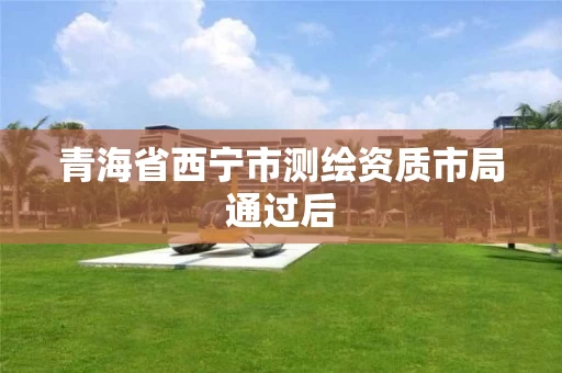 青海省西宁市测绘资质市局通过后