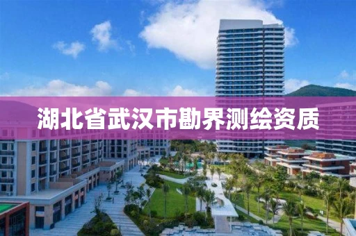 湖北省武汉市勘界测绘资质