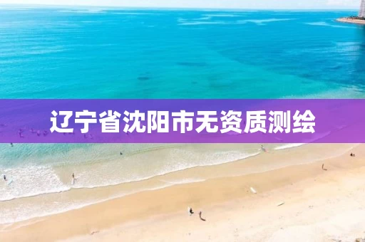 辽宁省沈阳市无资质测绘