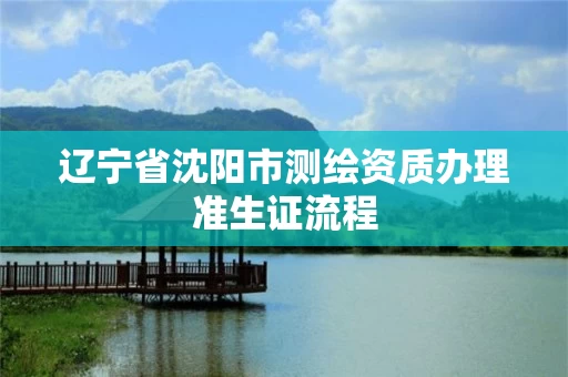 辽宁省沈阳市测绘资质办理准生证流程