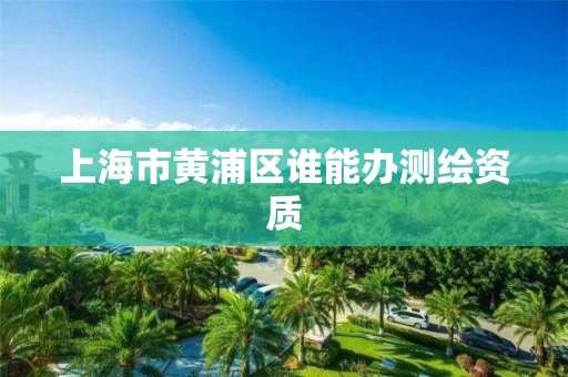 上海市黄浦区谁能办测绘资质