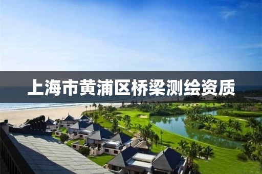 上海市黄浦区桥梁测绘资质