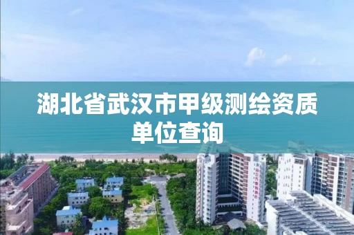 湖北省武汉市甲级测绘资质单位查询 湖北省武汉市甲级测绘资质单位查询