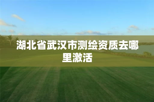 湖北省武汉市测绘资质去哪里激活