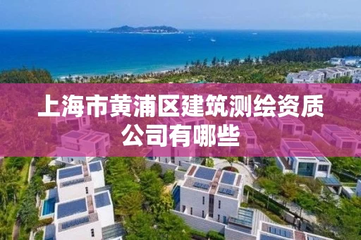 上海市黄浦区建筑测绘资质公司有哪些