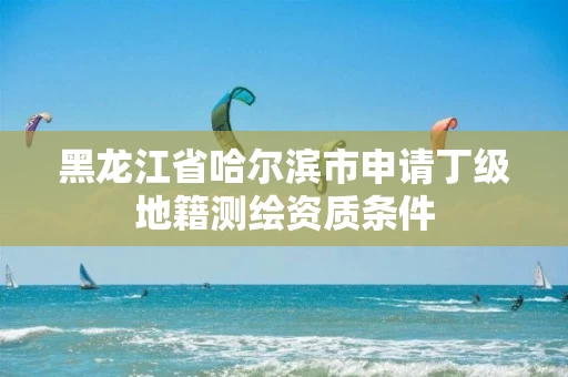 黑龙江省哈尔滨市申请丁级地籍测绘资质条件