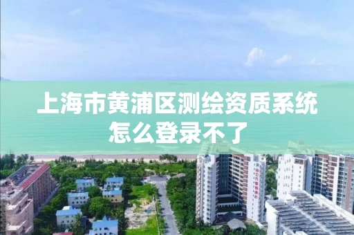 上海市黄浦区测绘资质系统怎么登录不了