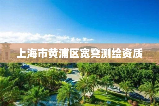 上海市黄浦区宽凳测绘资质