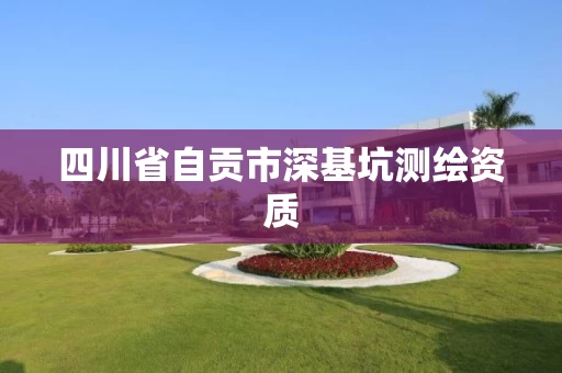 四川省自贡市深基坑测绘资质 四川省自贡市深基坑测绘资质