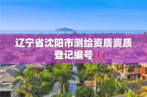 辽宁省沈阳市测绘资质资质登记编号