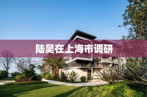 陆昊在上海市调研