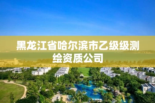 黑龙江省哈尔滨市乙级级测绘资质公司 黑龙江省哈尔滨市乙级级测绘资质公司
