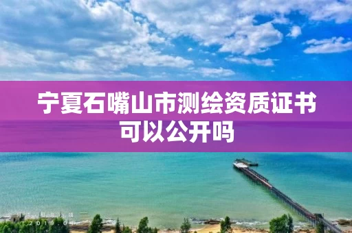 宁夏石嘴山市测绘资质证书可以公开吗
