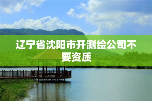 辽宁省沈阳市开测绘公司不要资质
