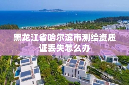 黑龙江省哈尔滨市测绘资质证丢失怎么办