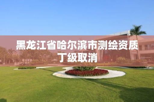 黑龙江省哈尔滨市测绘资质丁级取消