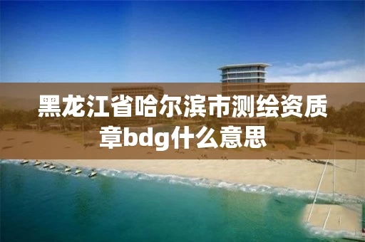 黑龙江省哈尔滨市测绘资质章bdg什么意思