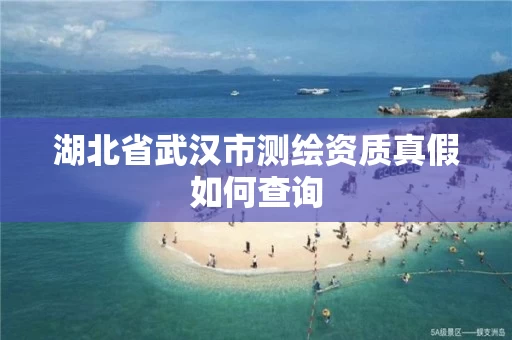 湖北省武汉市测绘资质真假如何查询