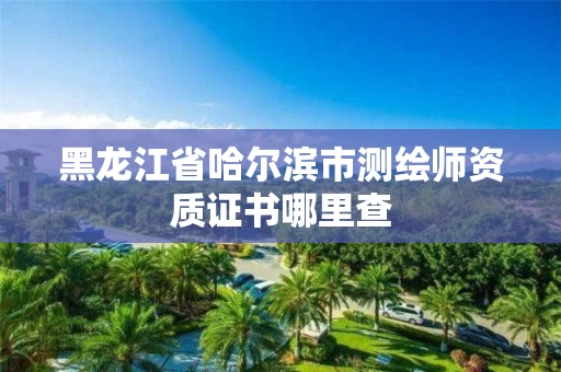 黑龙江省哈尔滨市测绘师资质证书哪里查