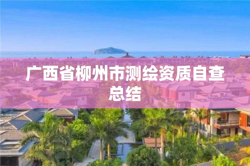 广西省柳州市测绘资质自查总结