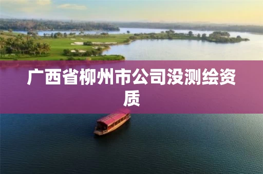广西省柳州市公司没测绘资质