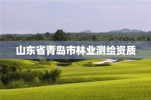山东省青岛市林业测绘资质
