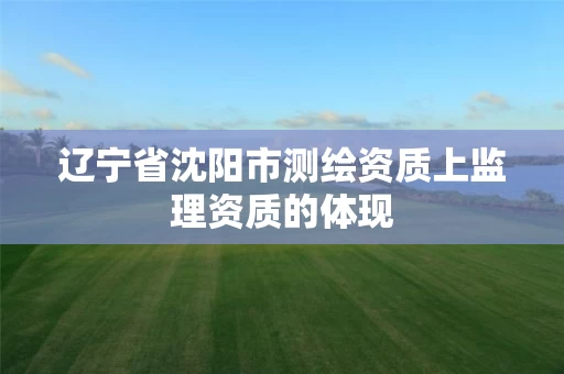 辽宁省沈阳市测绘资质上监理资质的体现