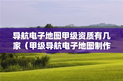 导航电子地图甲级资质有几家（甲级导航电子地图制作资质）