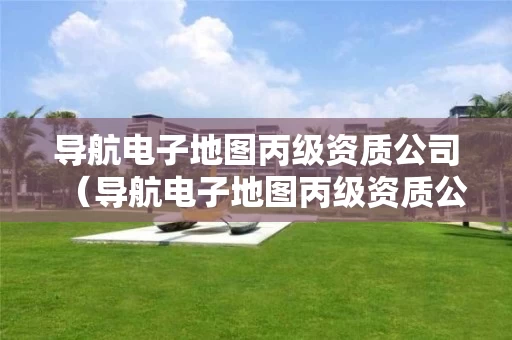 导航电子地图丙级资质公司（导航电子地图丙级资质公司有哪些）