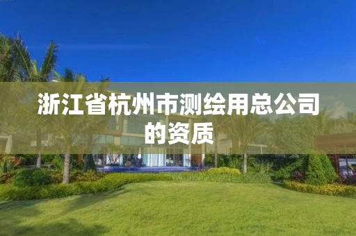 浙江省杭州市测绘用总公司的资质