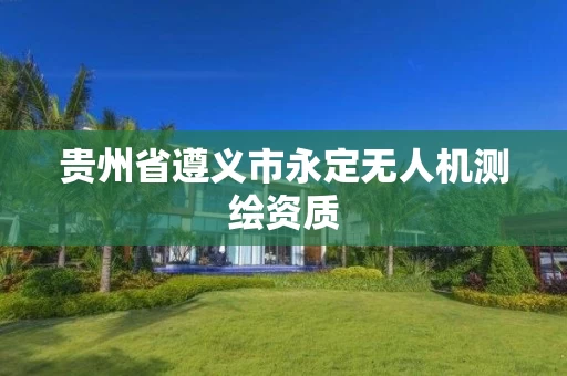 贵州省遵义市永定无人机测绘资质 贵州省遵义市永定无人机测绘资质