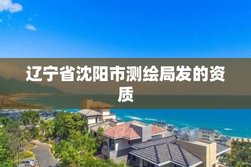 辽宁省沈阳市测绘局发的资质